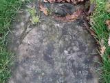 image of grave number 709765